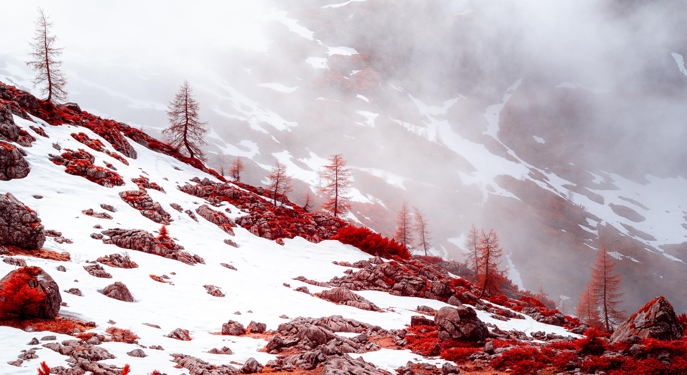 Berchtesgadener Alpen - nahe des Seeleinsees - Blid klicken zum vergrößern.