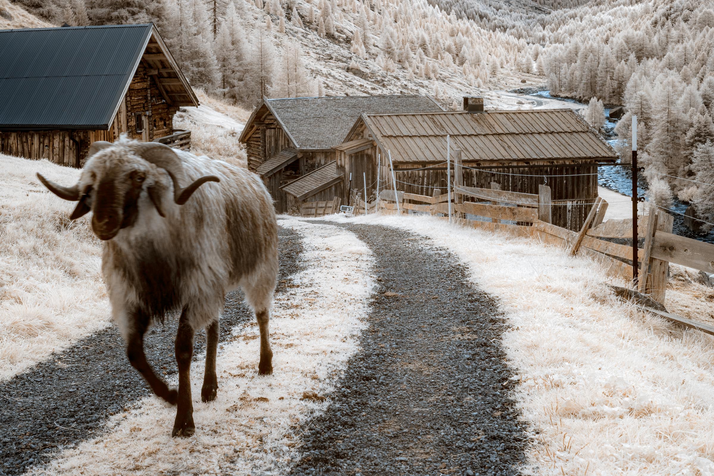 Zauberhaftes Windachtal