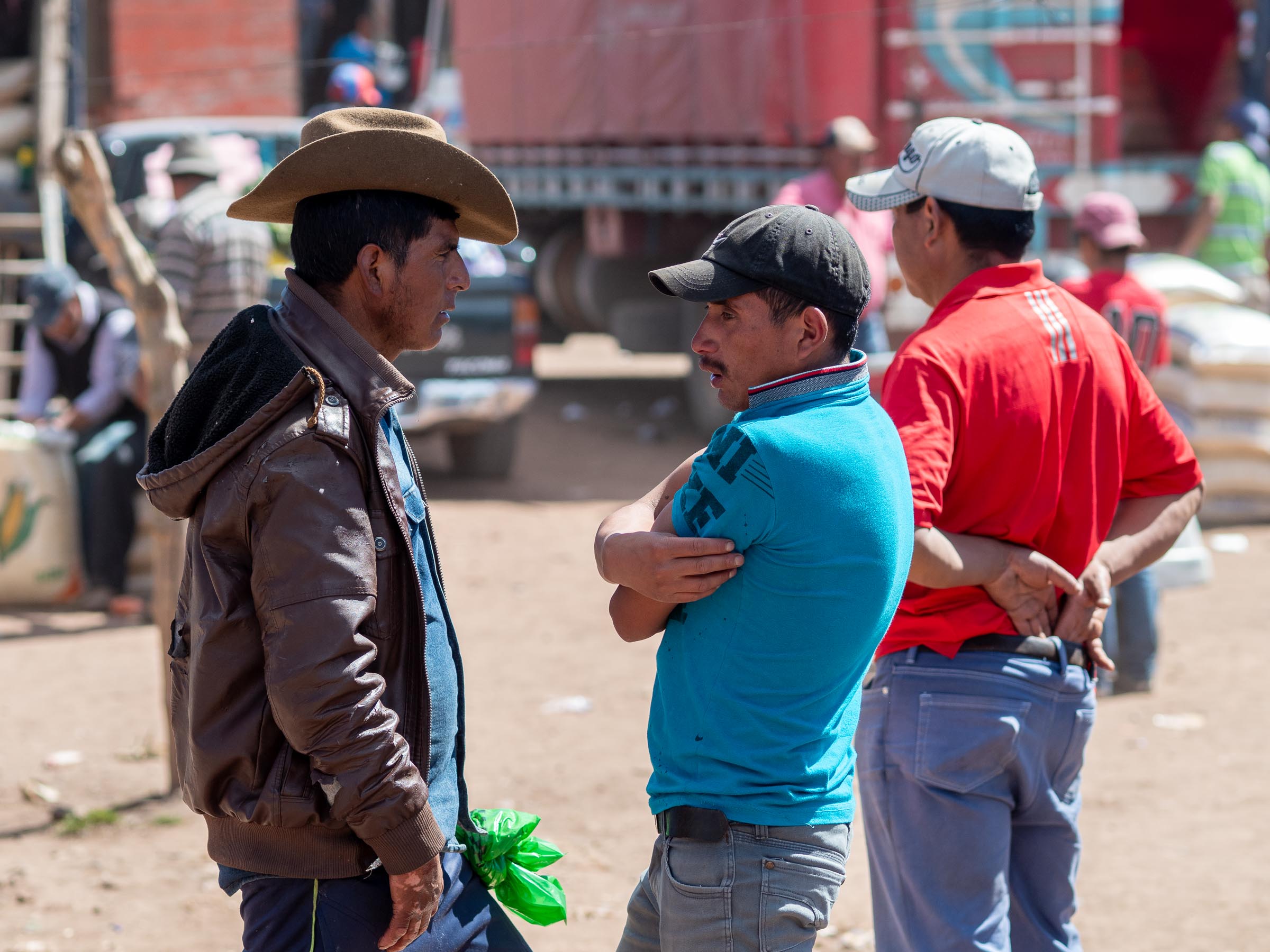 Der Viehmakt in Potrerillo - Blid klicken zum vergrößern.