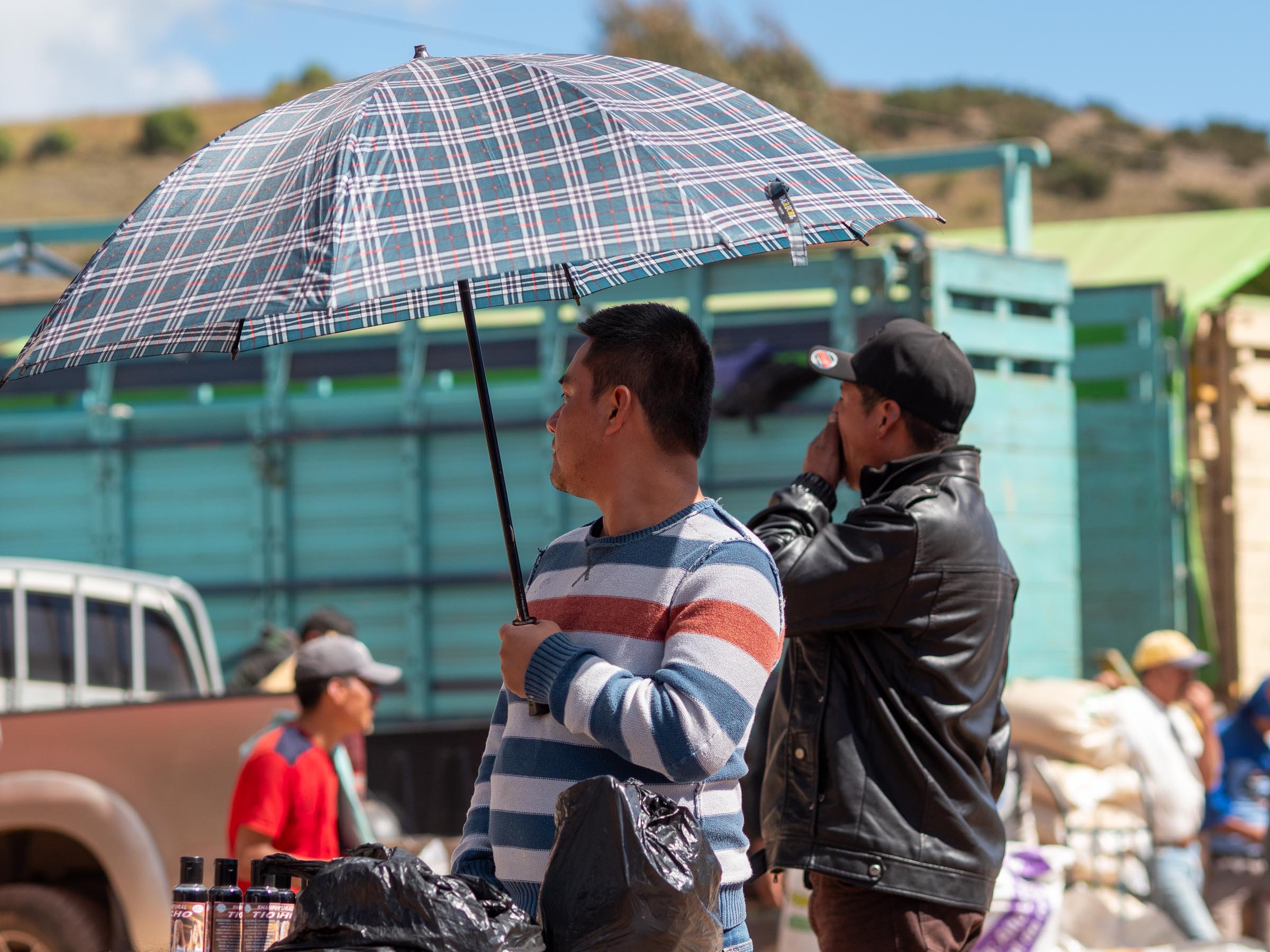 Der Viehmakt in Potrerillo - Blid klicken zum vergrößern.