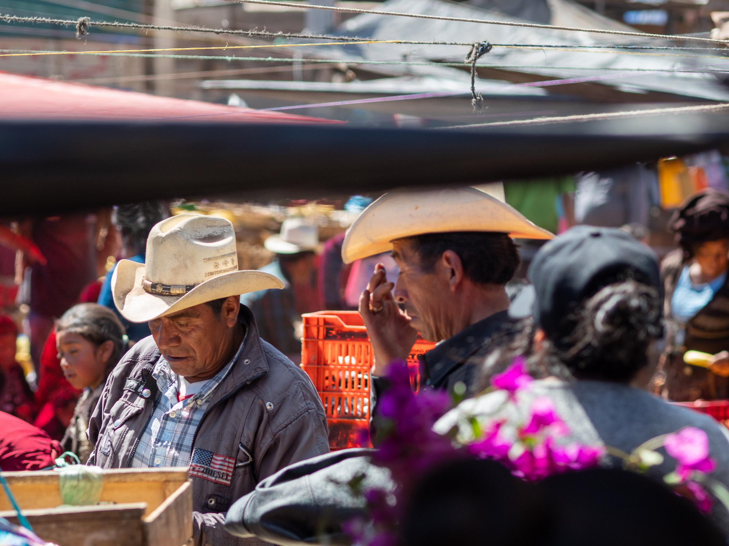 Der Viehmakt in Potrerillo - Blid klicken zum vergrößern.